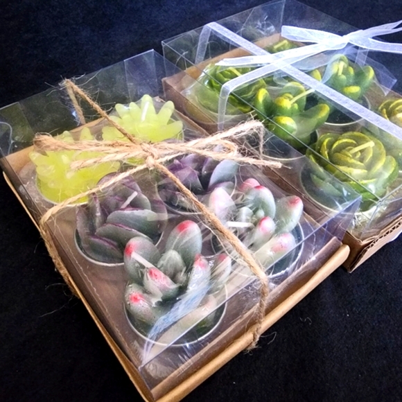 Succulent Candles - Picture 2 of 2